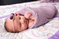 DSC_7376-1