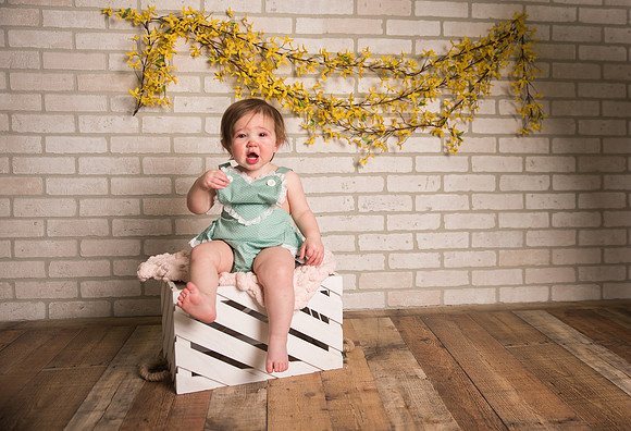 Sigourney-Iowa-Photographer