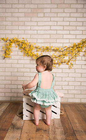 Sigourney-Iowa-Photographer