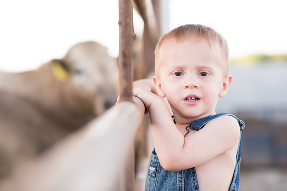 Keota-Iowa-Photographer