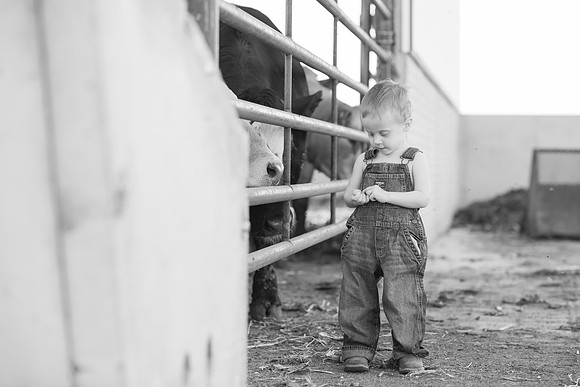 Keota-Iowa-Photographer