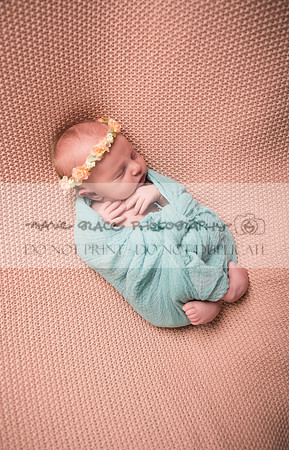 Sigourney-Iowa-Photographer