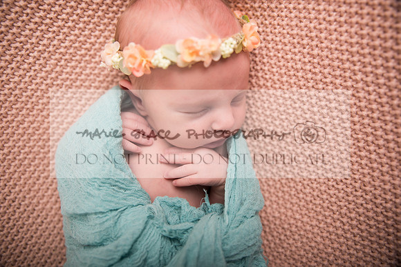 Sigourney-Iowa-Photographer