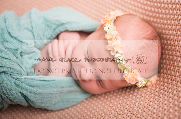 Sigourney-Iowa-Photographer