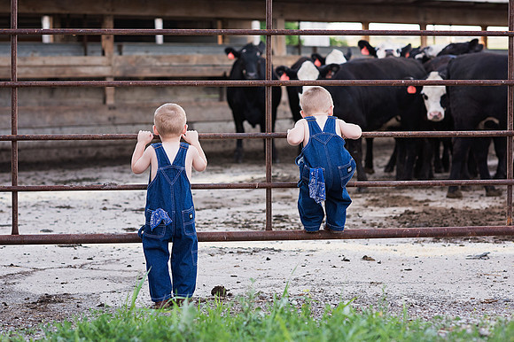 Sigourney-Iowa-Photographer