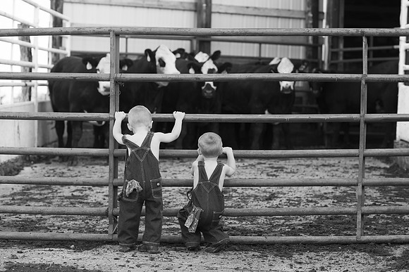 Sigourney-Iowa-Photographer