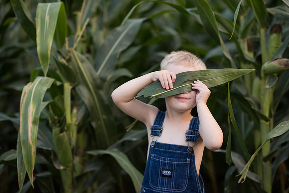 Sigourney Iowa Photographer