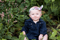 Wellman Iowa Photographer