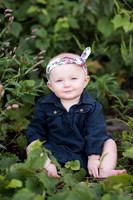 Wellman Iowa Photographer