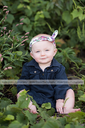 Wellman Iowa Photographer