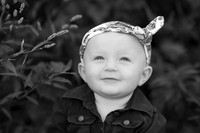 Wellman Iowa Photographer