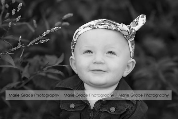 Wellman Iowa Photographer