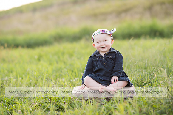 Wellman Iowa Photographer