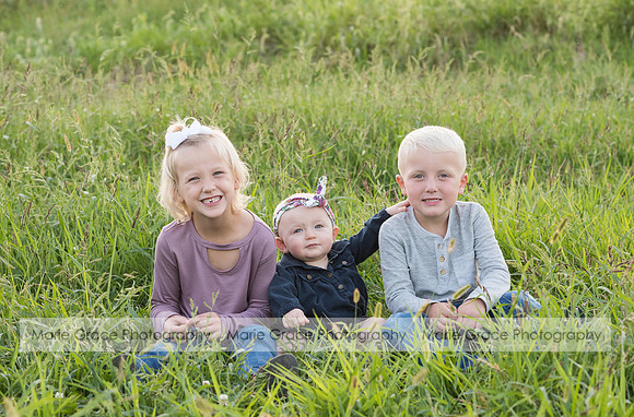 Wellman Iowa Photographer