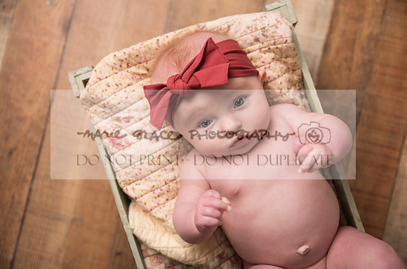 Sigourney-Iowa-Photographer