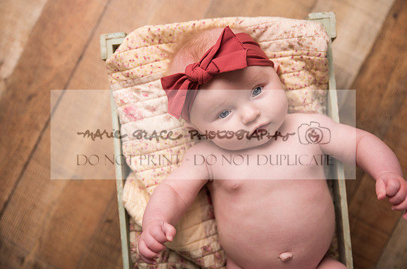 Sigourney-Iowa-Photographer