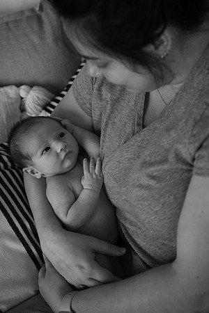 DSC09691 copy